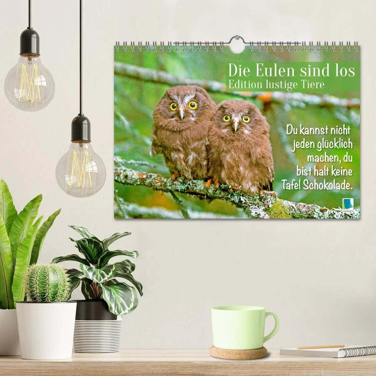 Bild: 9783516638172 | Die Eulen sind los: Edition lustige Tiere (Wandkalender 2026 DIN A4...