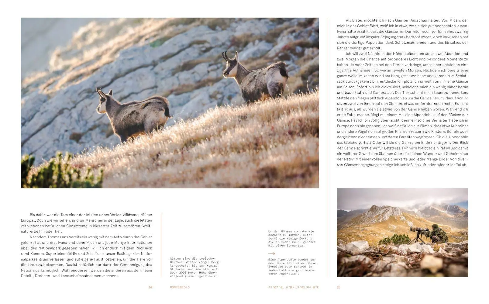 Bild: 9783957288172 | Wildes Europa | Close to Nature's Heart | Simon Straetker (u. a.)