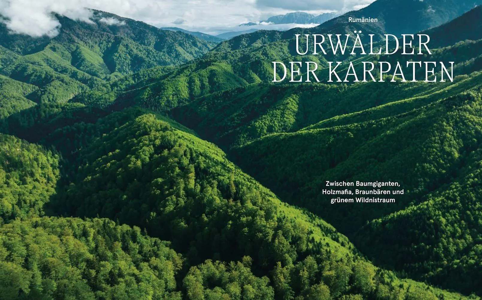 Bild: 9783957288172 | Wildes Europa | Close to Nature's Heart | Simon Straetker (u. a.)