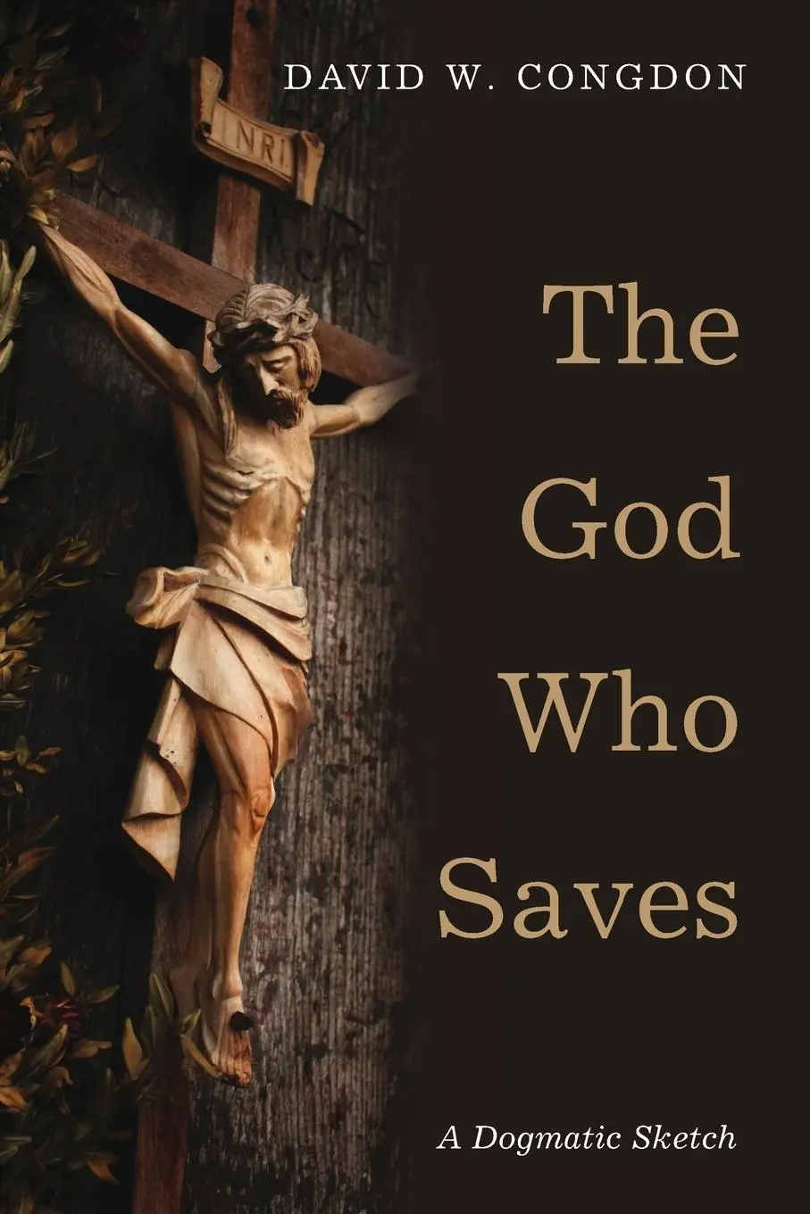 Cover: 9781608998272 | The God Who Saves | David W. Congdon | Taschenbuch | Englisch | 2016