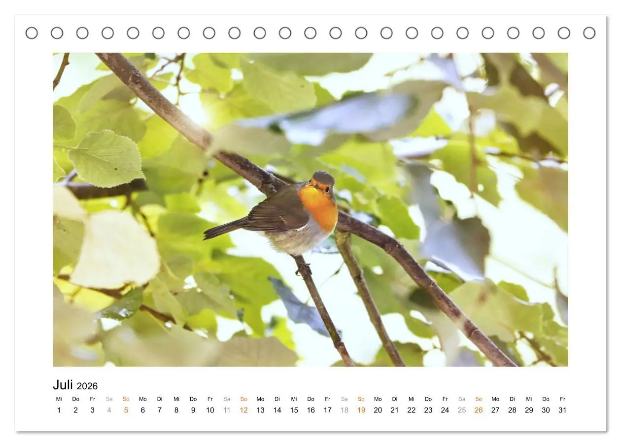 Bild: 9783457538272 | Zauberhafte Rotkehlchen (Tischkalender 2026 DIN A5 quer), CALVENDO...