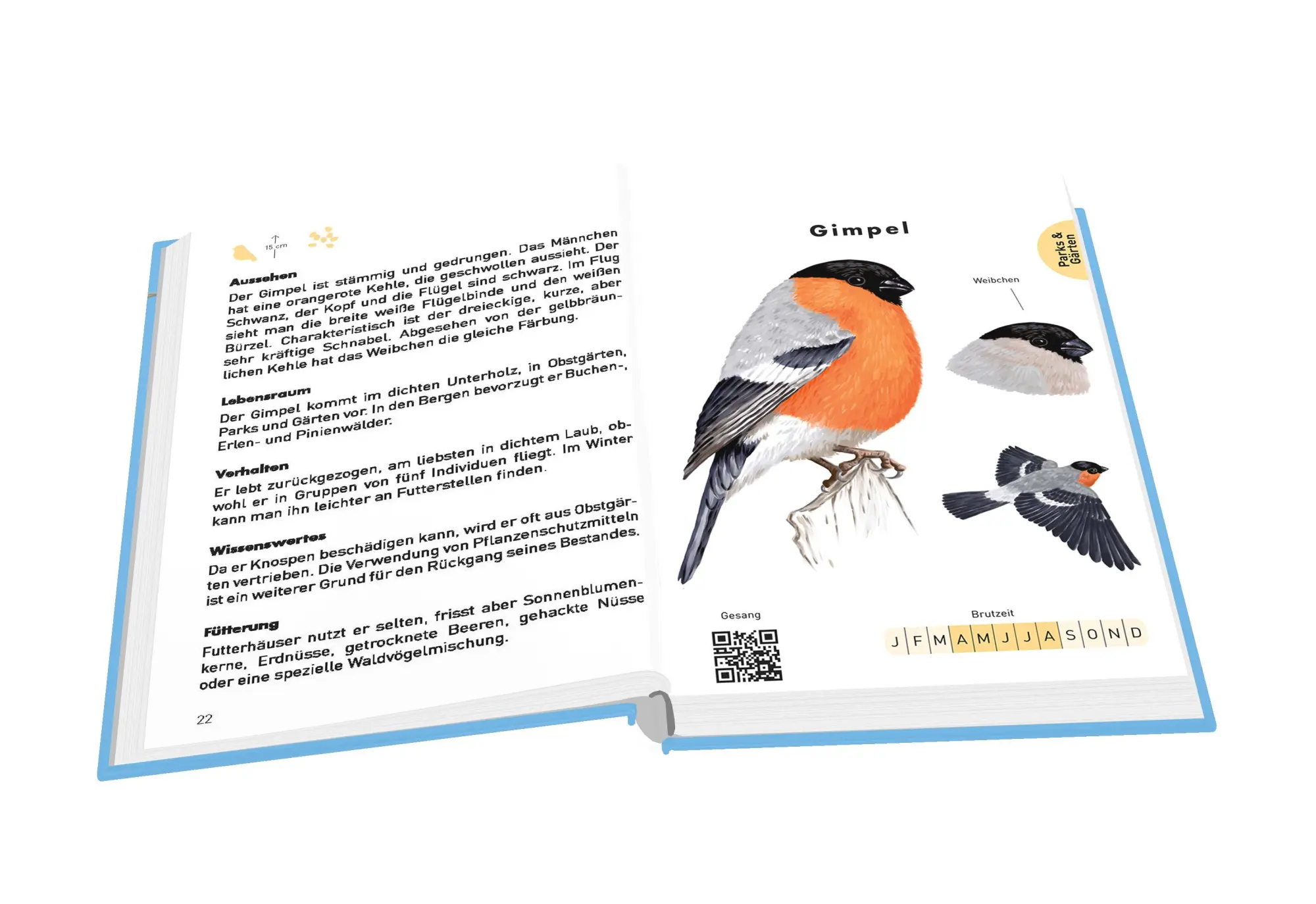 Bild: 9783730608272 | Anaconda Taschenführer Vögel. 70 Arten bestimmen und entdecken | Buch