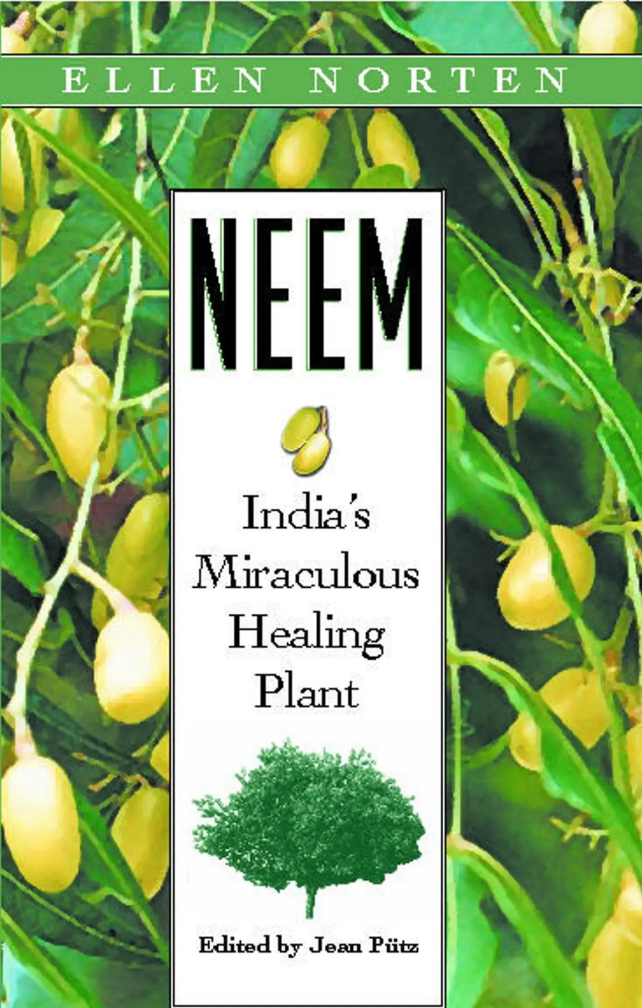 Cover: 9780892818372 | Neem | India's Miraculous Healing Plant | Ellen Norten | Taschenbuch