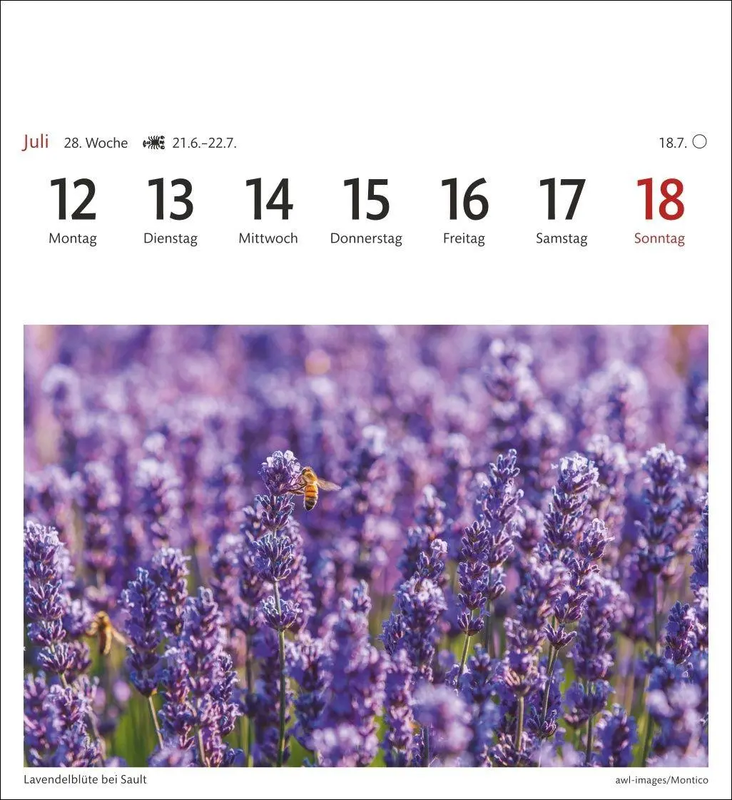 Bild: 9783840038372 | Provence Sehnsuchtskalender 2027 - Wochenkalender mit 53 Postkarten