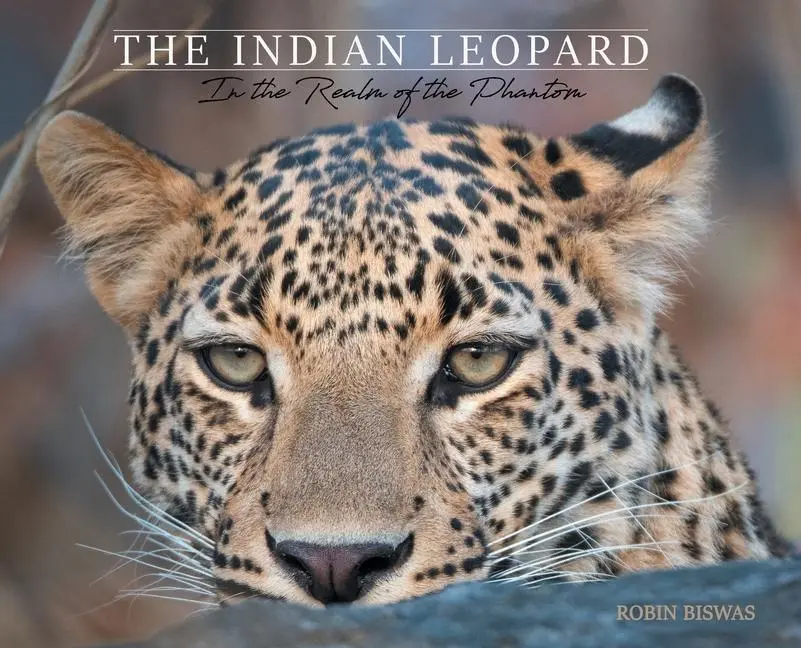 Cover: 9780228818472 | The Indian Leopard | In the Realm of the Phantom | Robin Biswas | Buch