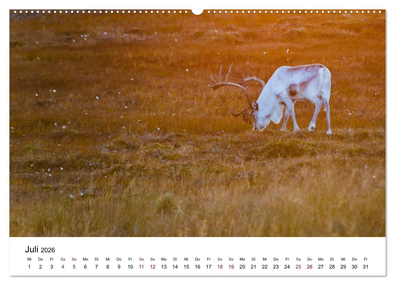 Bild: 9783457758472 | Skandinavien - Hoch im Norden (hochwertiger Premium Wandkalender...