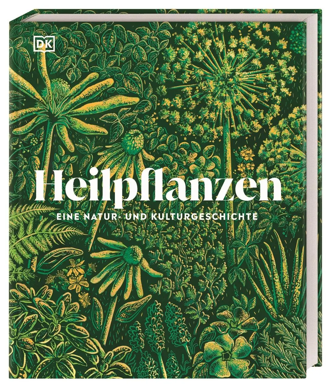 Cover: 9783831048472 | Heilpflanzen | Ross Bayton (u. a.) | Buch | DK Faszinierende Welt