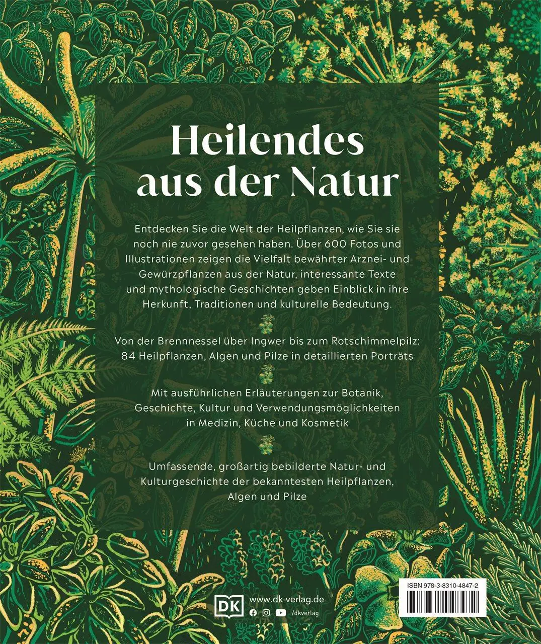 Rückseite: 9783831048472 | Heilpflanzen | Ross Bayton (u. a.) | Buch | DK Faszinierende Welt