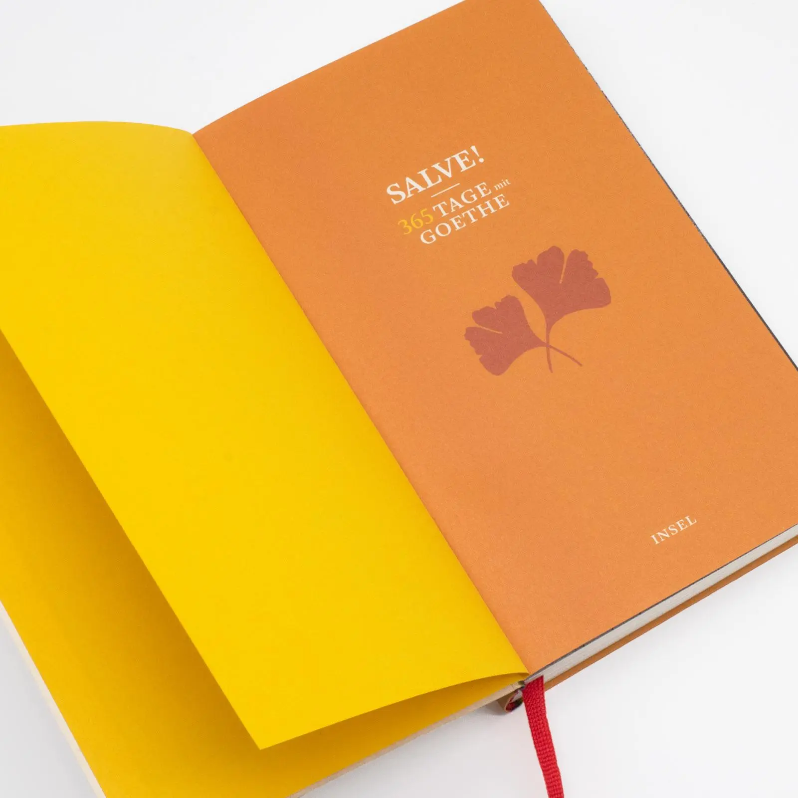 Bild: 9783458358572 | Salve! 365 Tage mit Goethe | Johann Wolfgang Goethe | Buch | 260 S.
