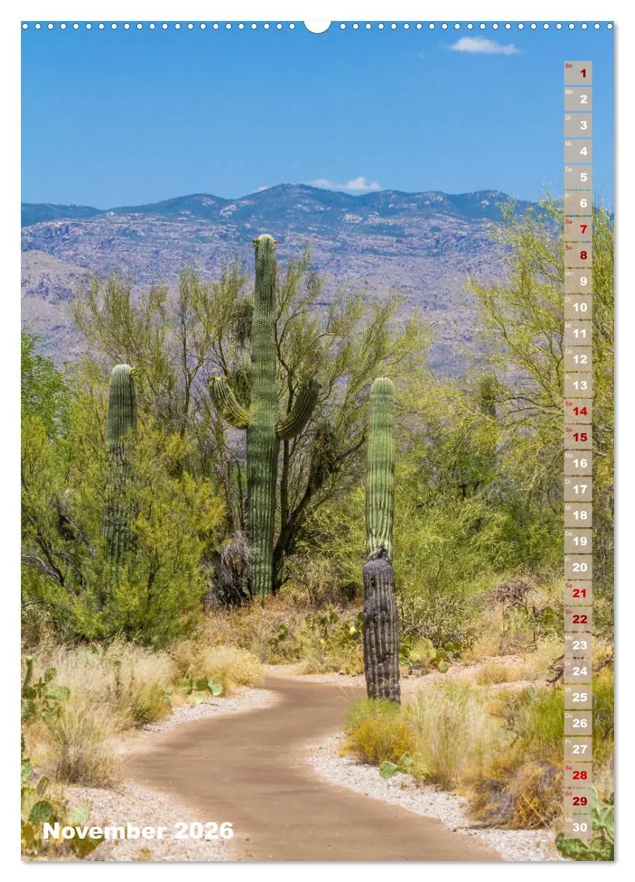 Bild: 9783516388572 | SAGUARO NATIONAL PARK Wüstenimpressionen aus Arizona (hochwertiger...