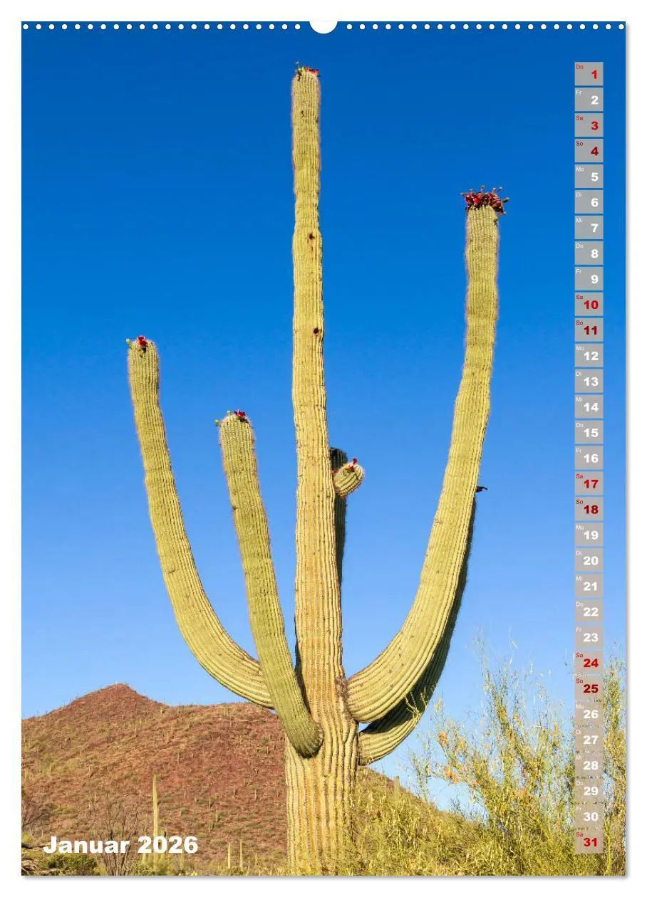 Bild: 9783516388572 | SAGUARO NATIONAL PARK Wüstenimpressionen aus Arizona (hochwertiger...