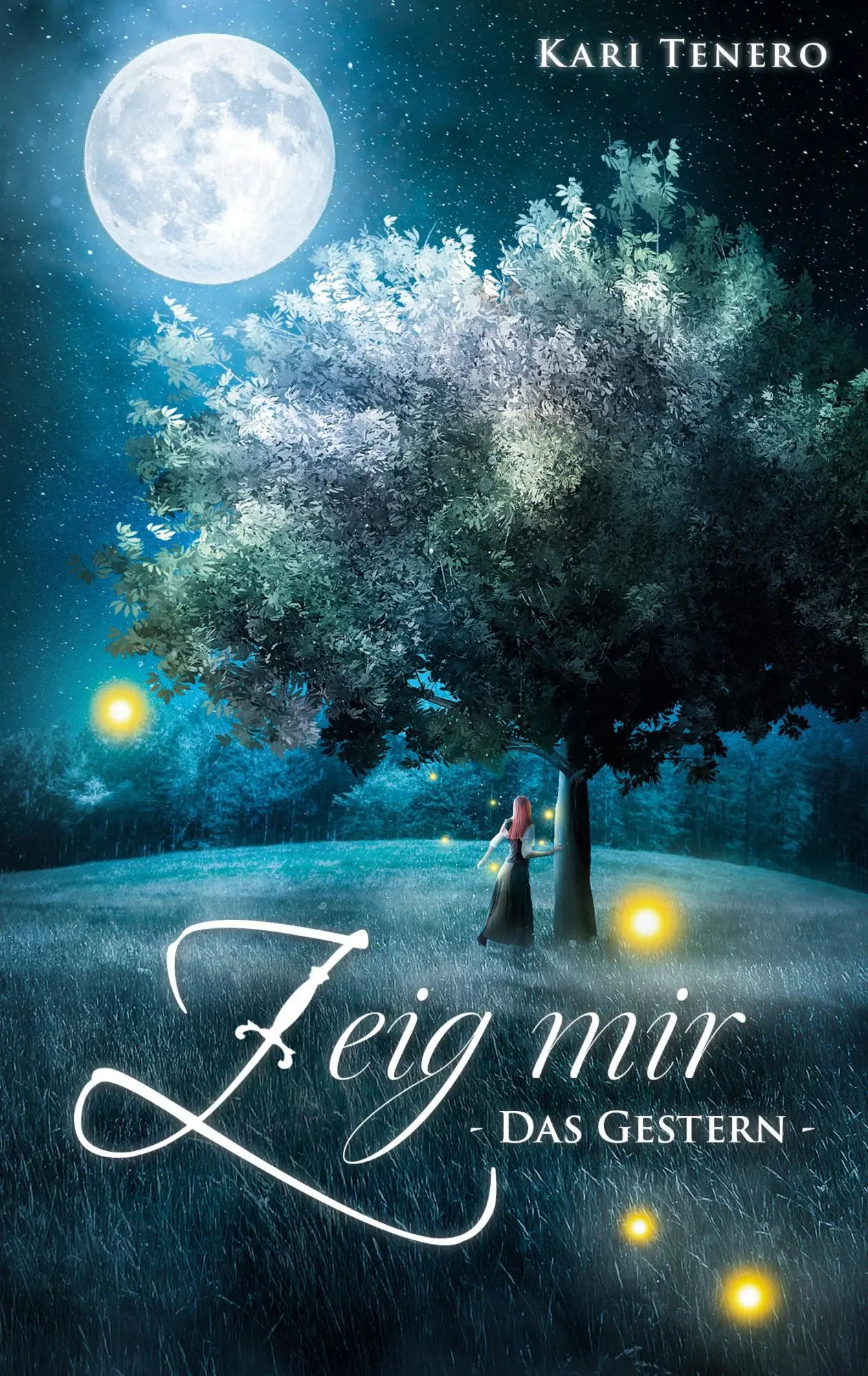 Cover: 9783755738572 | Zeig mir | Das Gestern | Kari Tenero | Taschenbuch | Zeig mir | 464 S.