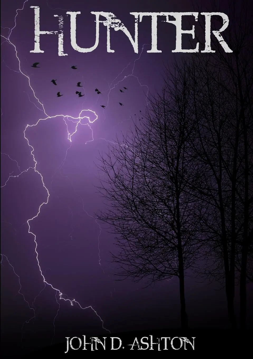 Cover: 9780244638672 | Hunter | John D. Ashton | Taschenbuch | Kartoniert / Broschiert | 2017