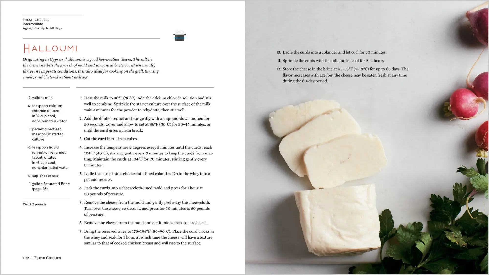Bild: 9781612128672 | Home Cheese Making, 4th Edition | Ricki Carroll | Taschenbuch | 2018