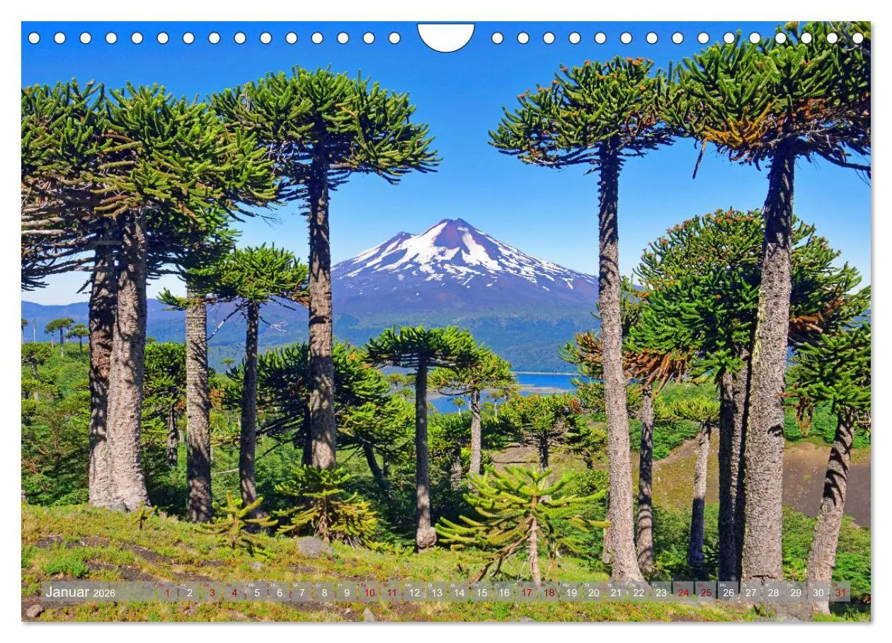Bild: 9783457288672 | Der Kleine Süden von Chile (Wandkalender 2026 DIN A4 quer),...
