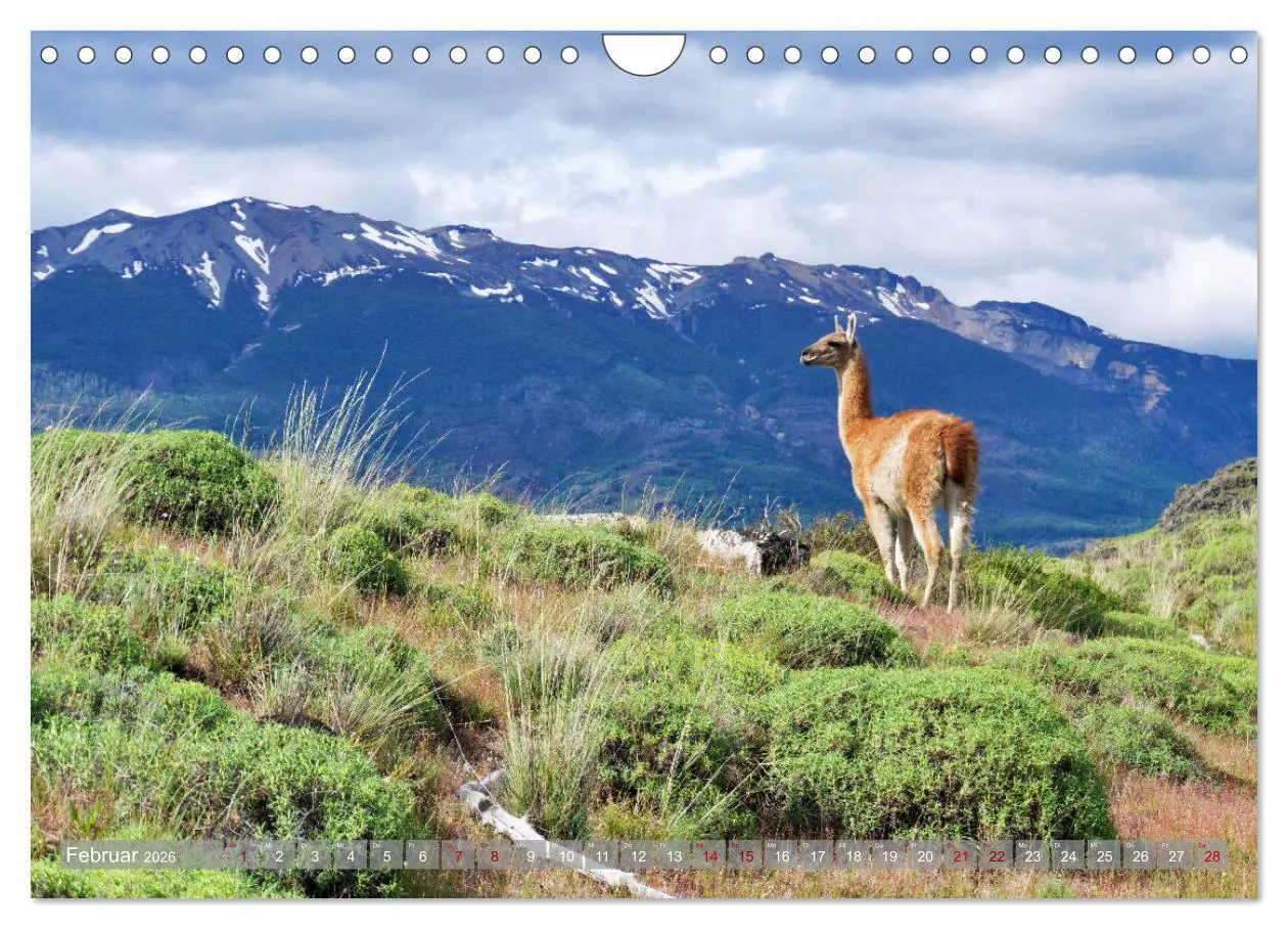 Bild: 9783457288672 | Der Kleine Süden von Chile (Wandkalender 2026 DIN A4 quer),...
