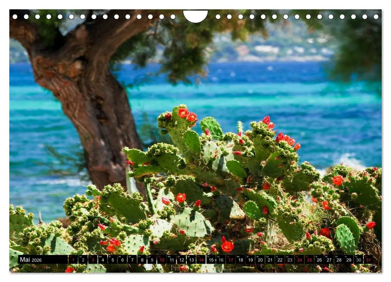 Bild: 9783516208672 | MALLORCA zum VERLIEBEN (Wandkalender 2026 DIN A4 quer), CALVENDO...