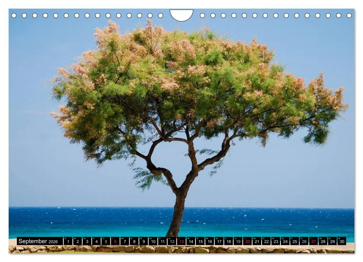 Bild: 9783516208672 | MALLORCA zum VERLIEBEN (Wandkalender 2026 DIN A4 quer), CALVENDO...