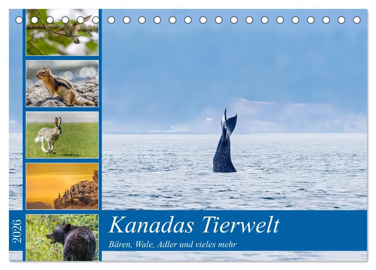 Cover: 9783457418772 | Kanadas Tierwelt - Bären, Wale und vieles mehr (Tischkalender 2026...