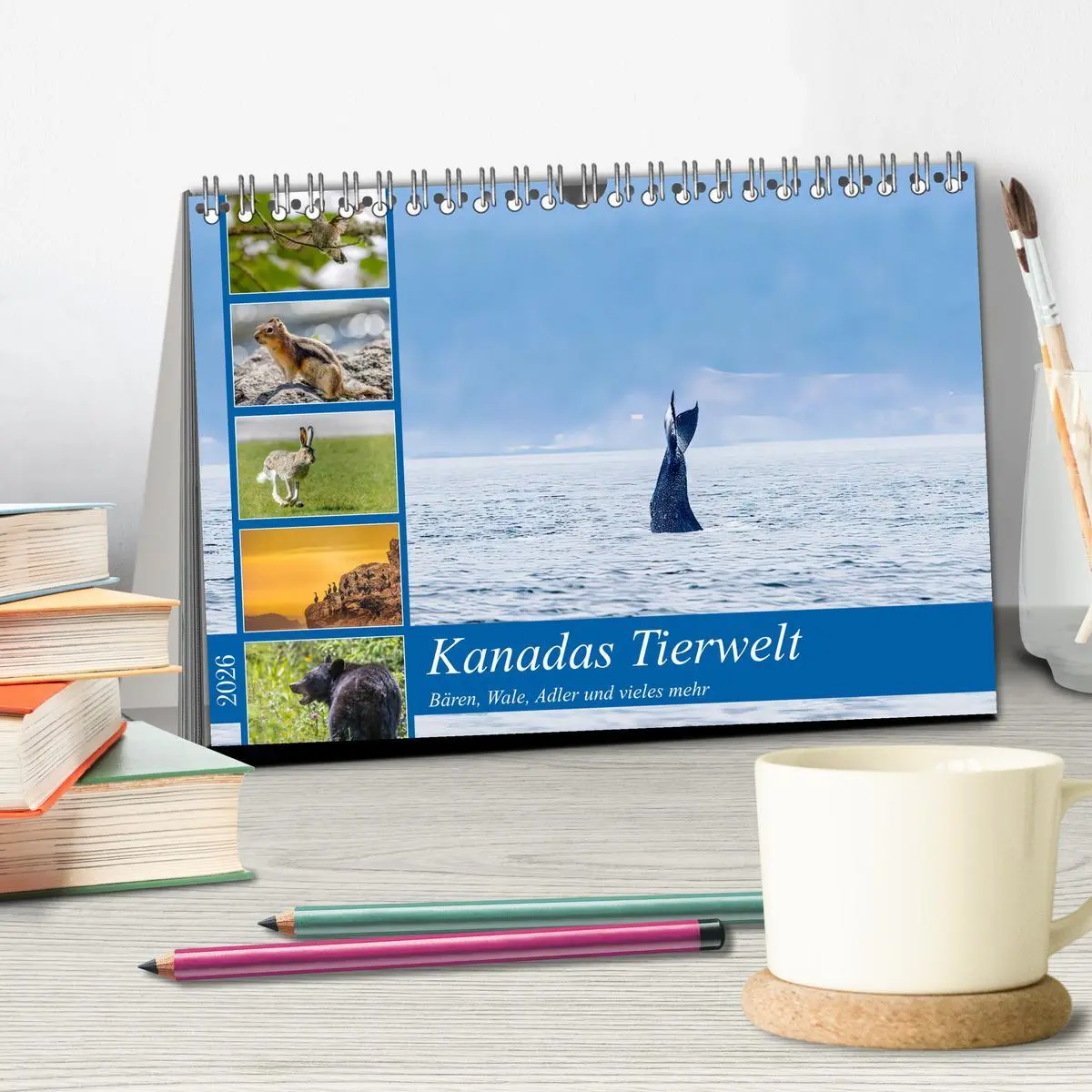 Bild: 9783457418772 | Kanadas Tierwelt - Bären, Wale und vieles mehr (Tischkalender 2026...