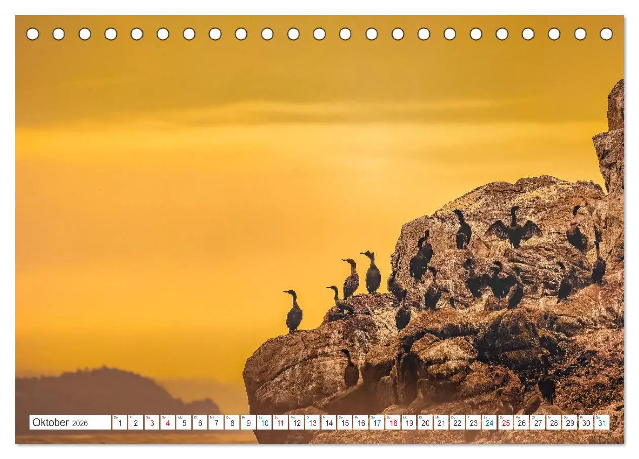 Bild: 9783457418772 | Kanadas Tierwelt - Bären, Wale und vieles mehr (Tischkalender 2026...