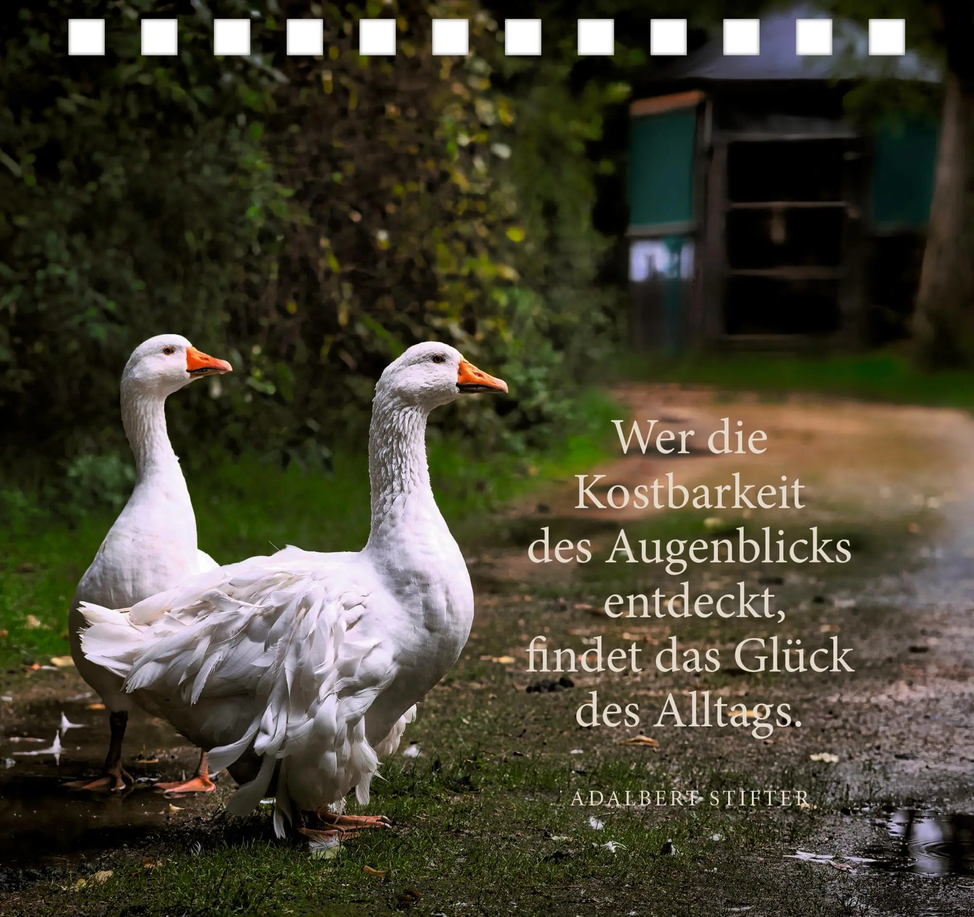 Bild: 9783649648772 | Komm zur Ruhe, finde neue Kraft | Taschenbuch | 176 S. | Deutsch