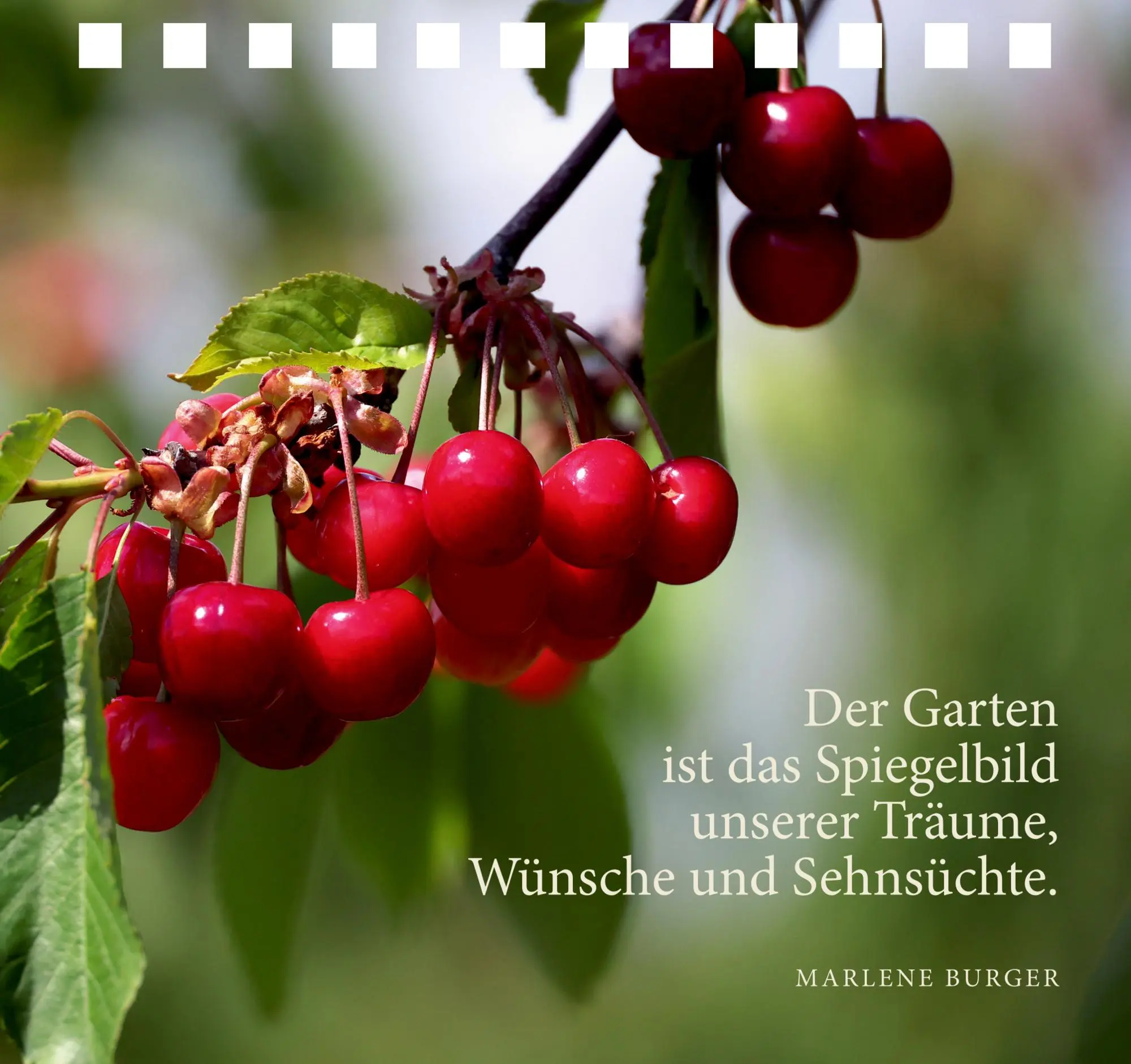 Bild: 9783649648772 | Komm zur Ruhe, finde neue Kraft | Taschenbuch | 176 S. | Deutsch