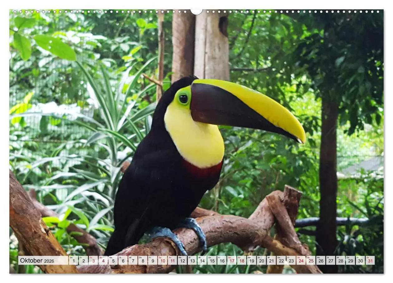 Bild: 9783457718872 | Costa Rica - Lebensfreude pur (hochwertiger Premium Wandkalender...