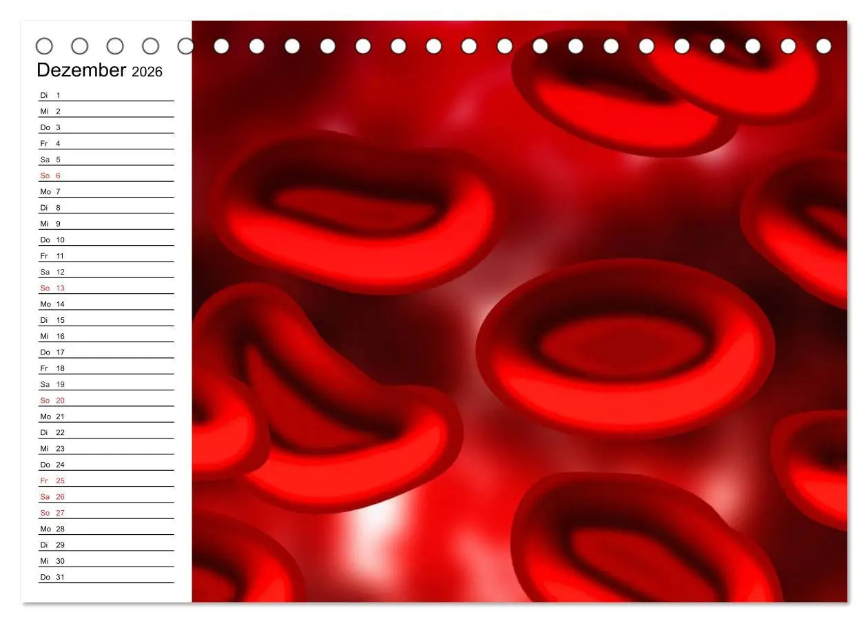 Bild: 9783457958872 | Mikrobiologie. Mikroorganismen, Genetik und Zellen (Tischkalender...