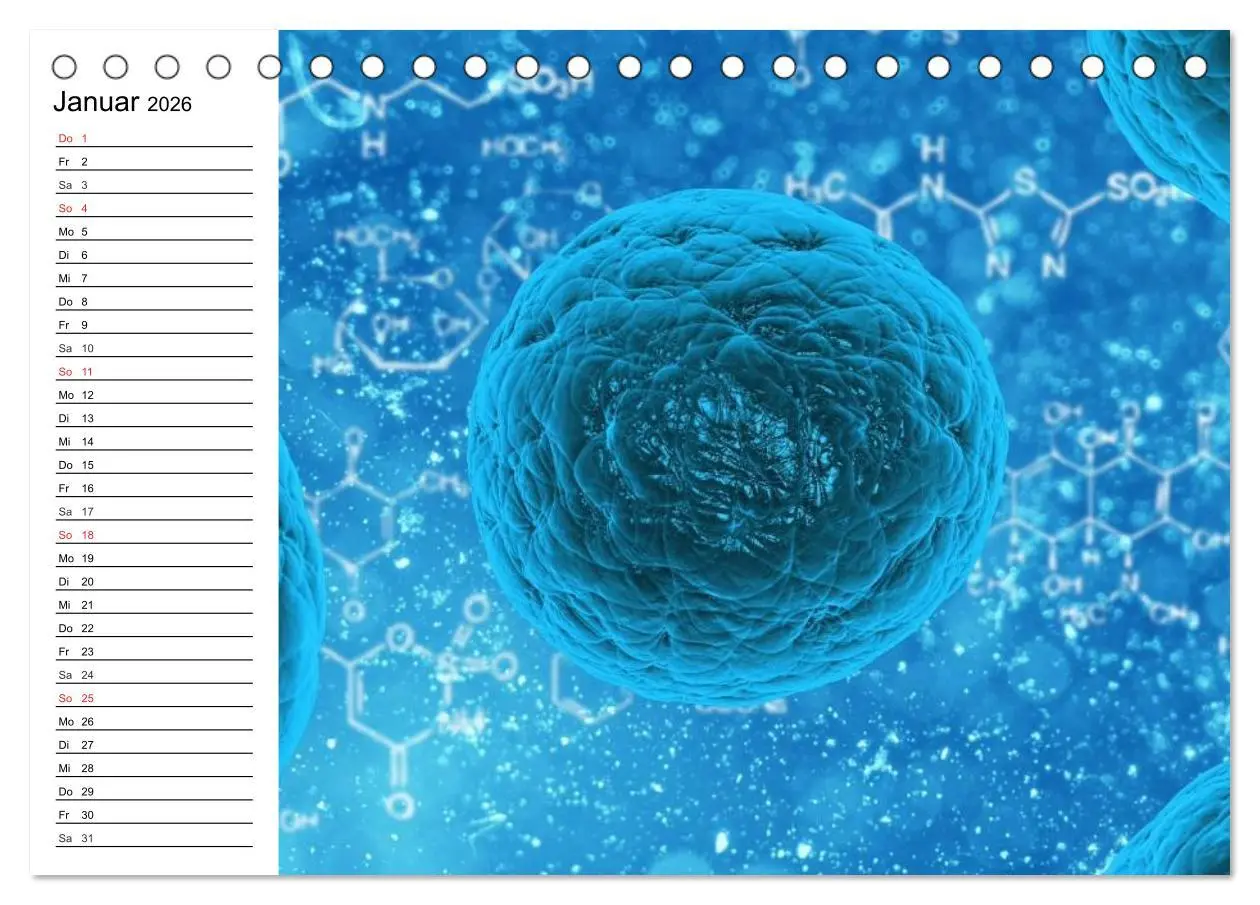 Bild: 9783457958872 | Mikrobiologie. Mikroorganismen, Genetik und Zellen (Tischkalender...