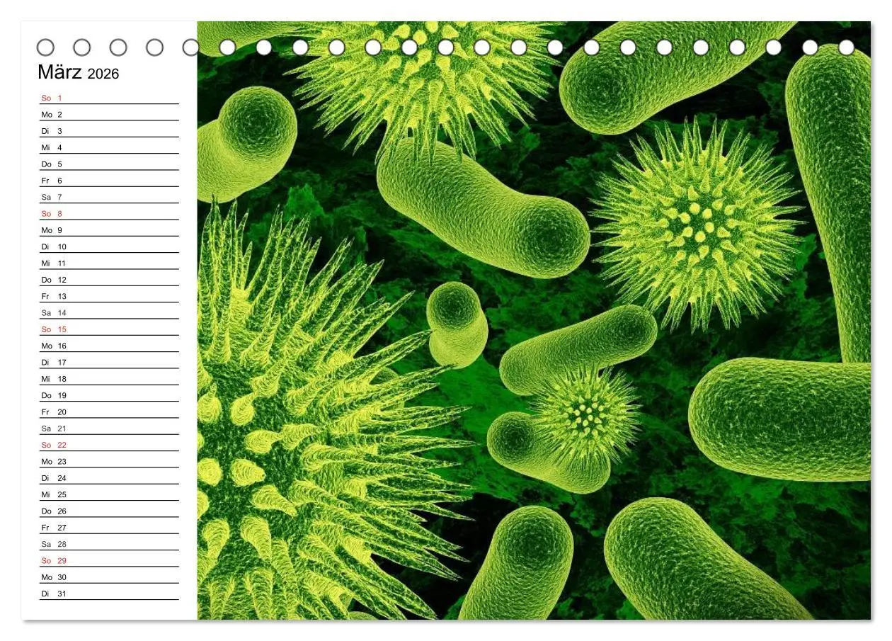 Bild: 9783457958872 | Mikrobiologie. Mikroorganismen, Genetik und Zellen (Tischkalender...