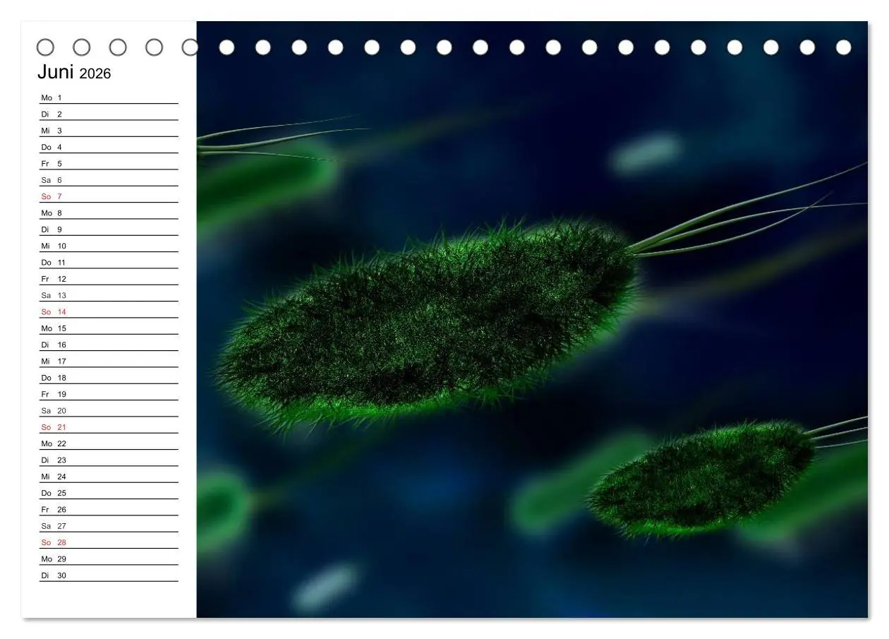 Bild: 9783457958872 | Mikrobiologie. Mikroorganismen, Genetik und Zellen (Tischkalender...