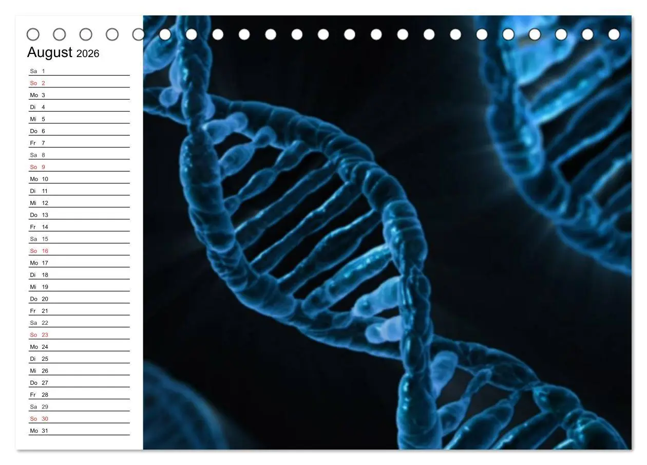 Bild: 9783457958872 | Mikrobiologie. Mikroorganismen, Genetik und Zellen (Tischkalender...