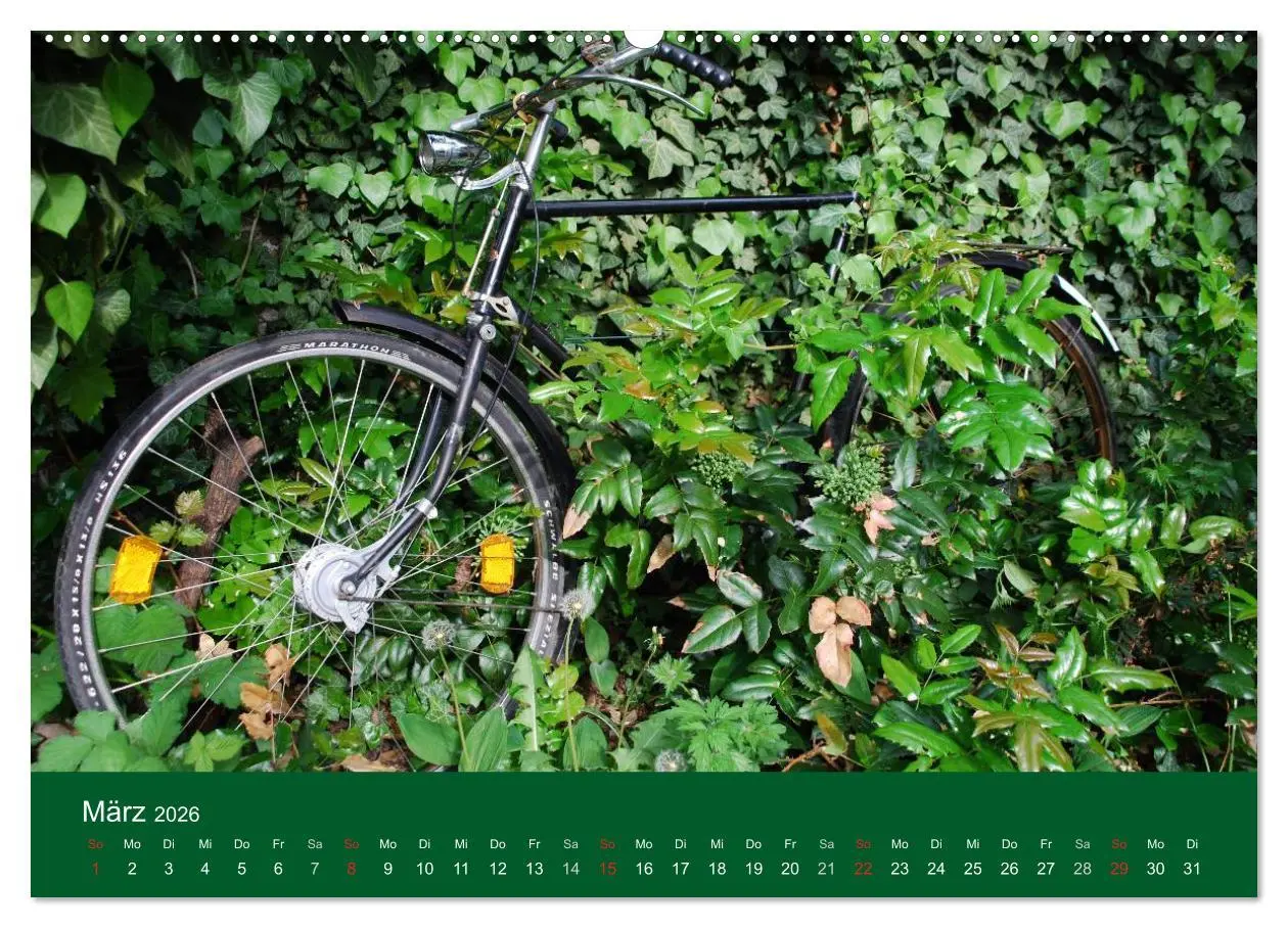 Bild: 9783516118872 | Das Fahrrad 2026 (hochwertiger Premium Wandkalender 2026 DIN A2...