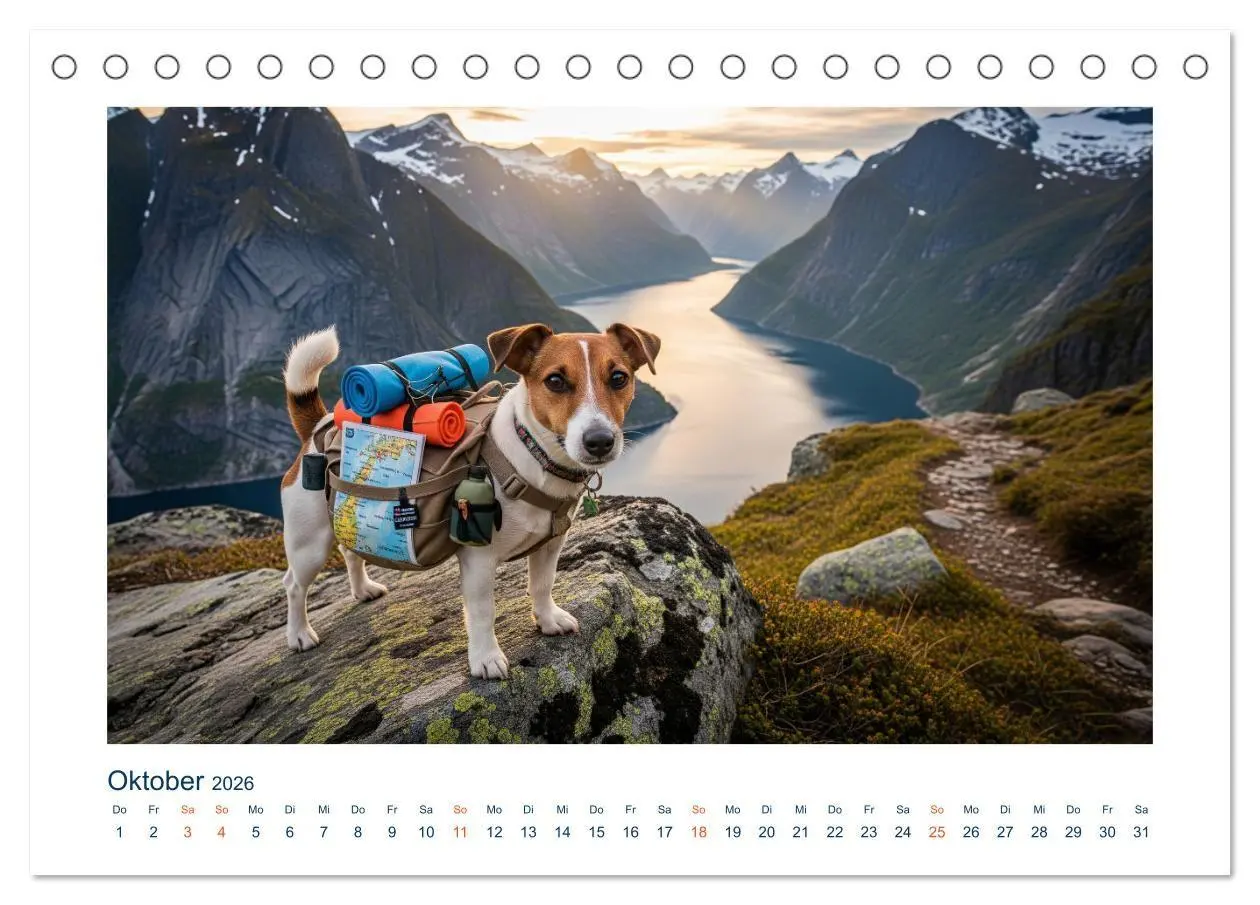 Bild: 9783516668872 | Jack Russel Active (Tischkalender 2026 DIN A5 quer), CALVENDO...