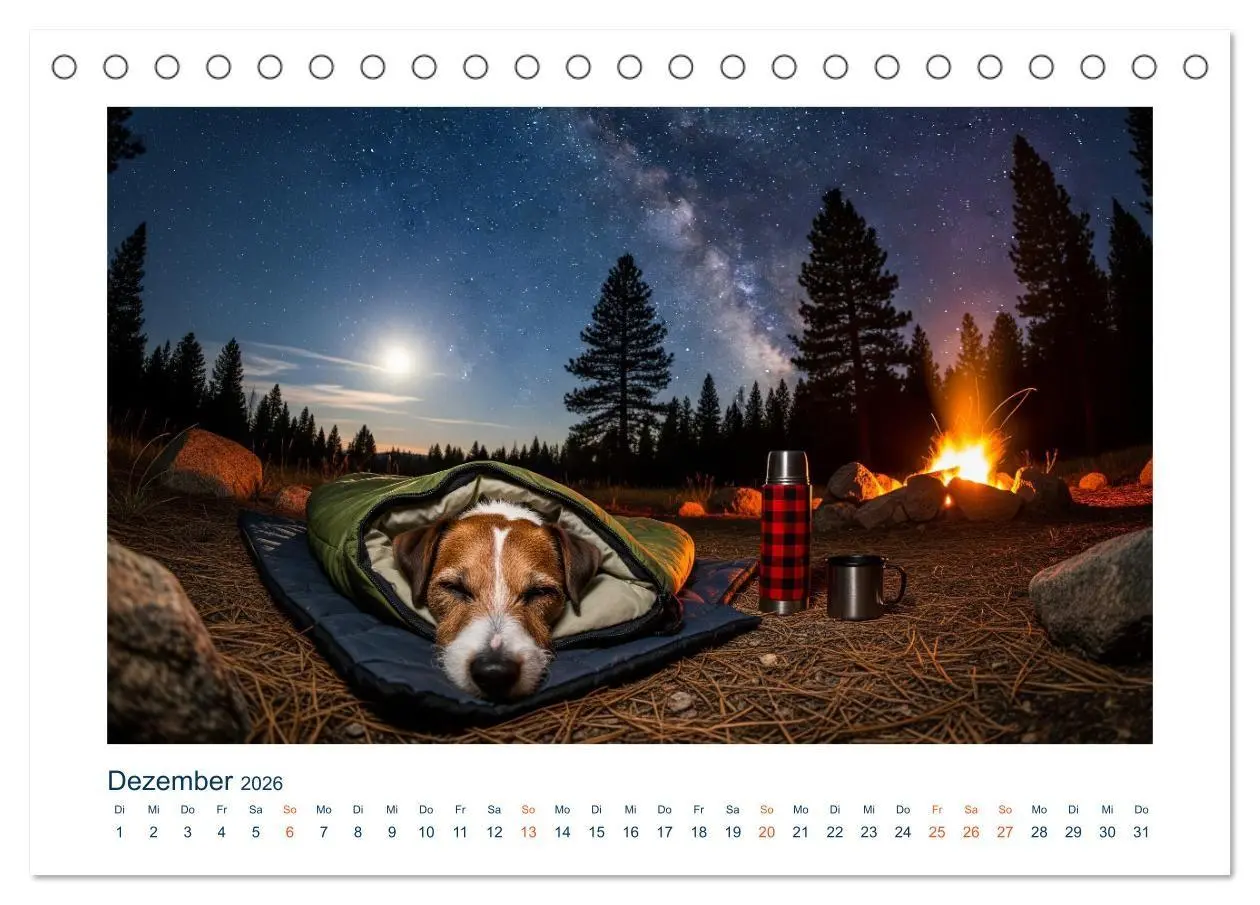 Bild: 9783516668872 | Jack Russel Active (Tischkalender 2026 DIN A5 quer), CALVENDO...