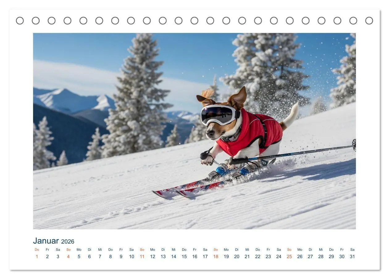 Bild: 9783516668872 | Jack Russel Active (Tischkalender 2026 DIN A5 quer), CALVENDO...