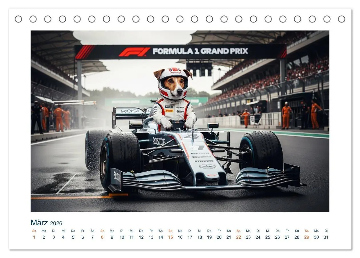 Bild: 9783516668872 | Jack Russel Active (Tischkalender 2026 DIN A5 quer), CALVENDO...