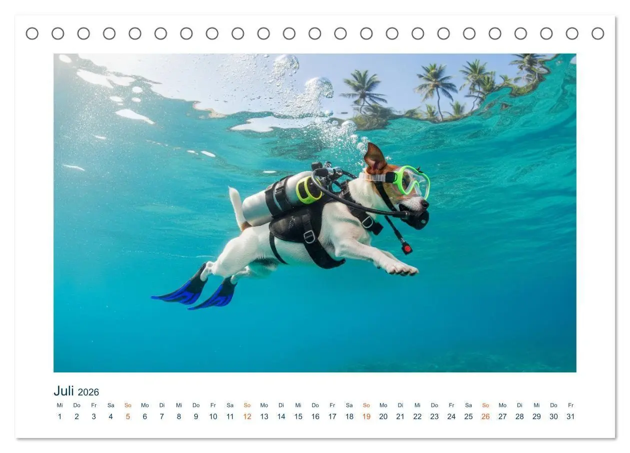 Bild: 9783516668872 | Jack Russel Active (Tischkalender 2026 DIN A5 quer), CALVENDO...