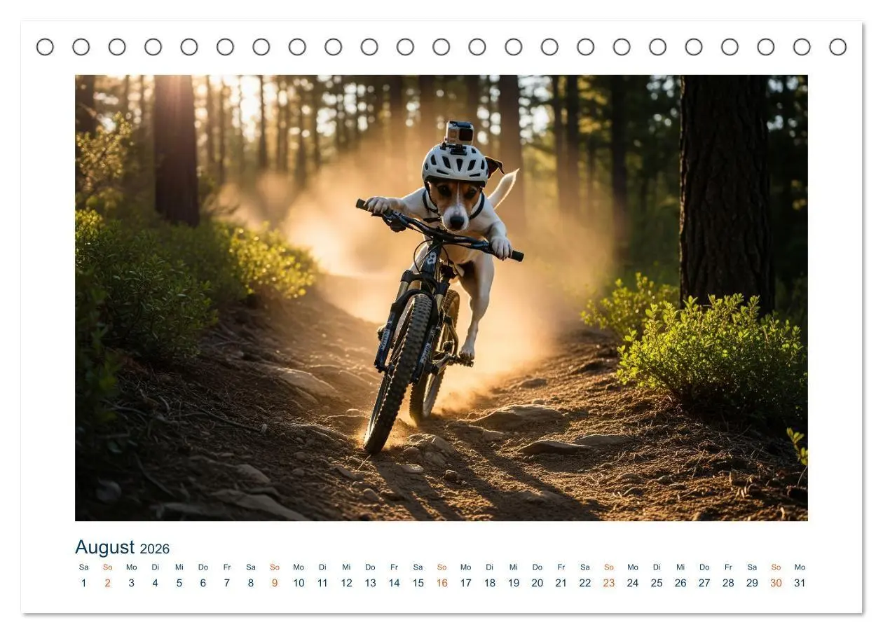 Bild: 9783516668872 | Jack Russel Active (Tischkalender 2026 DIN A5 quer), CALVENDO...