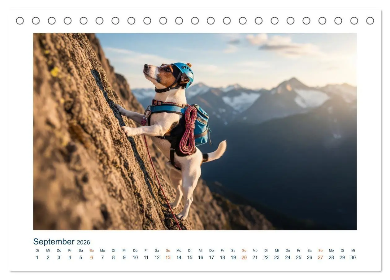 Bild: 9783516668872 | Jack Russel Active (Tischkalender 2026 DIN A5 quer), CALVENDO...