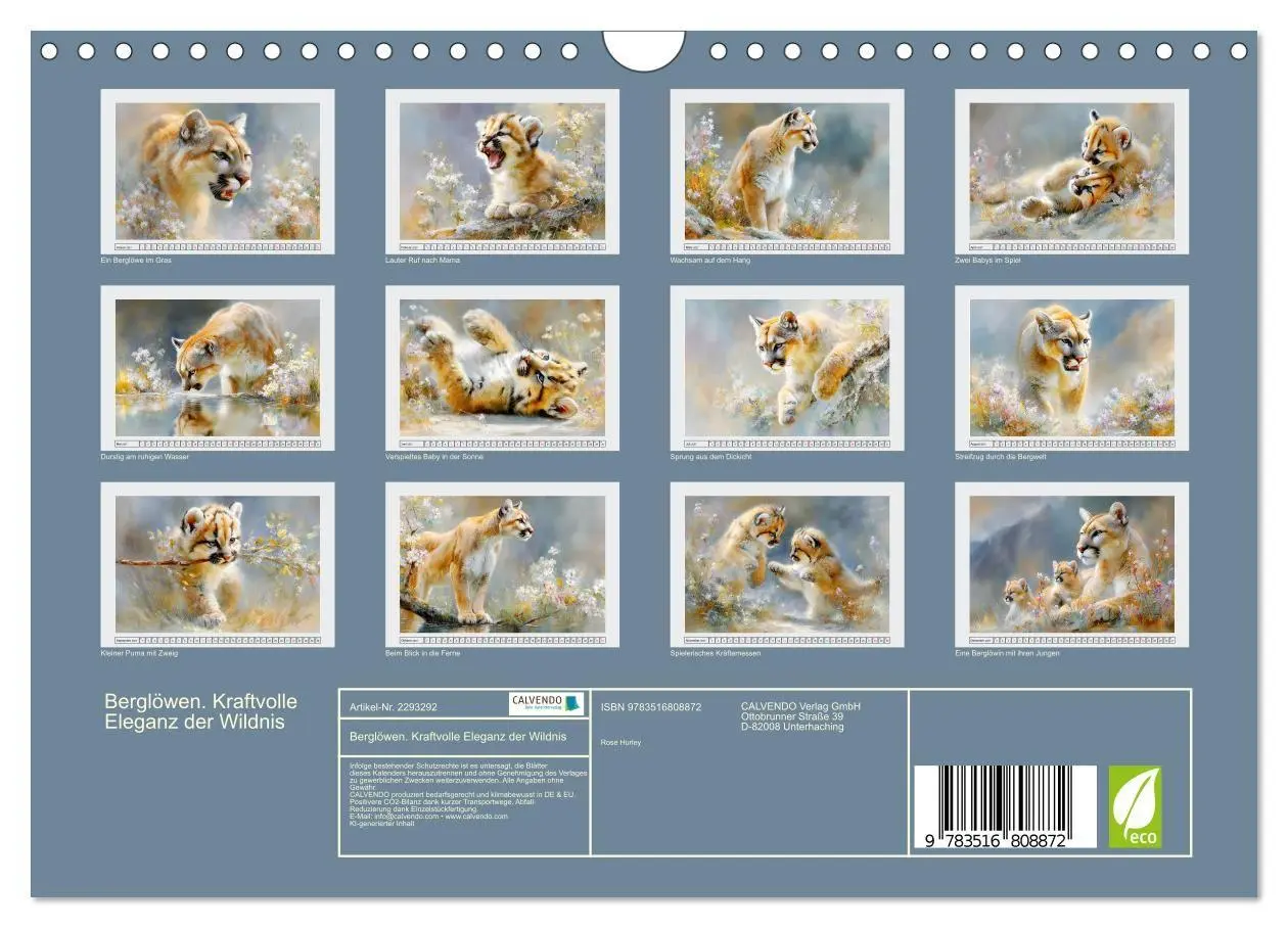Bild: 9783516808872 | Berglöwen. Kraftvolle Eleganz der Wildnis (Wandkalender 2027 DIN A4...