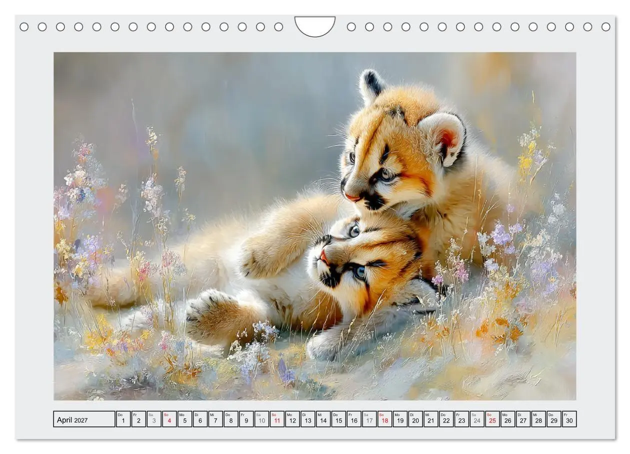 Bild: 9783516808872 | Berglöwen. Kraftvolle Eleganz der Wildnis (Wandkalender 2027 DIN A4...