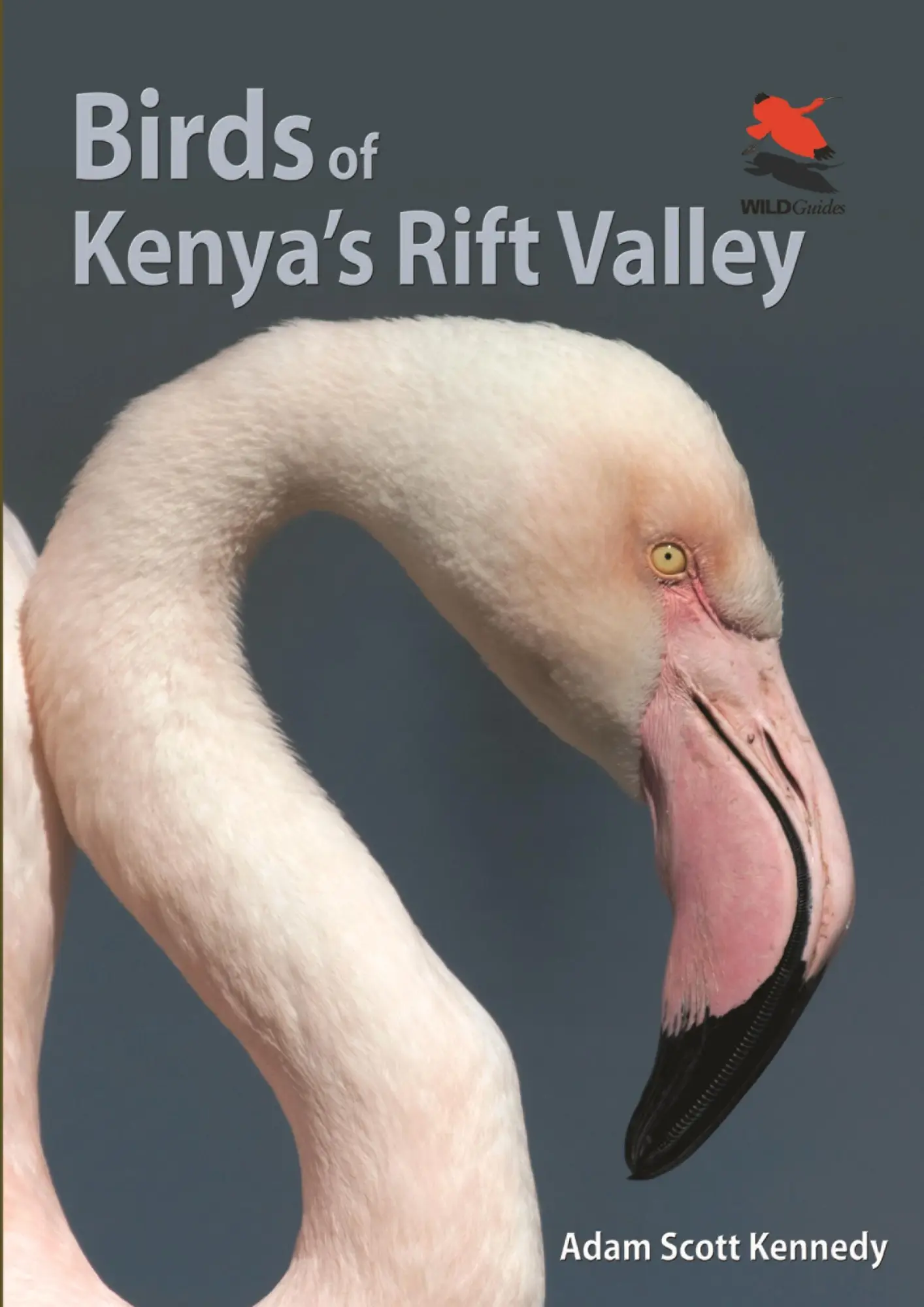 Cover: 9780691159072 | Birds of Kenya's Rift Valley | Adam Scott Kennedy | Taschenbuch | 2014