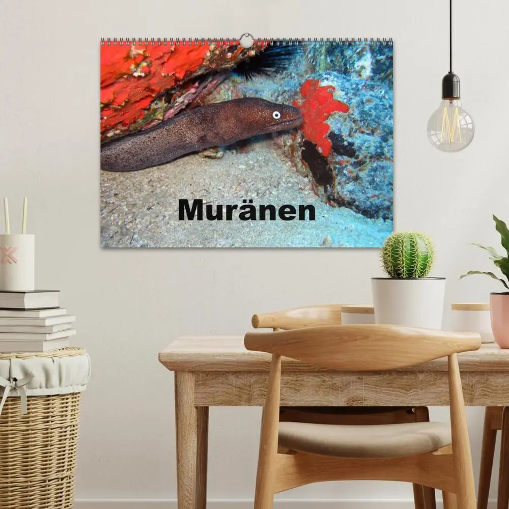 Bild: 9783435749072 | Muränen (Wandkalender 2025 DIN A3 quer), CALVENDO Monatskalender