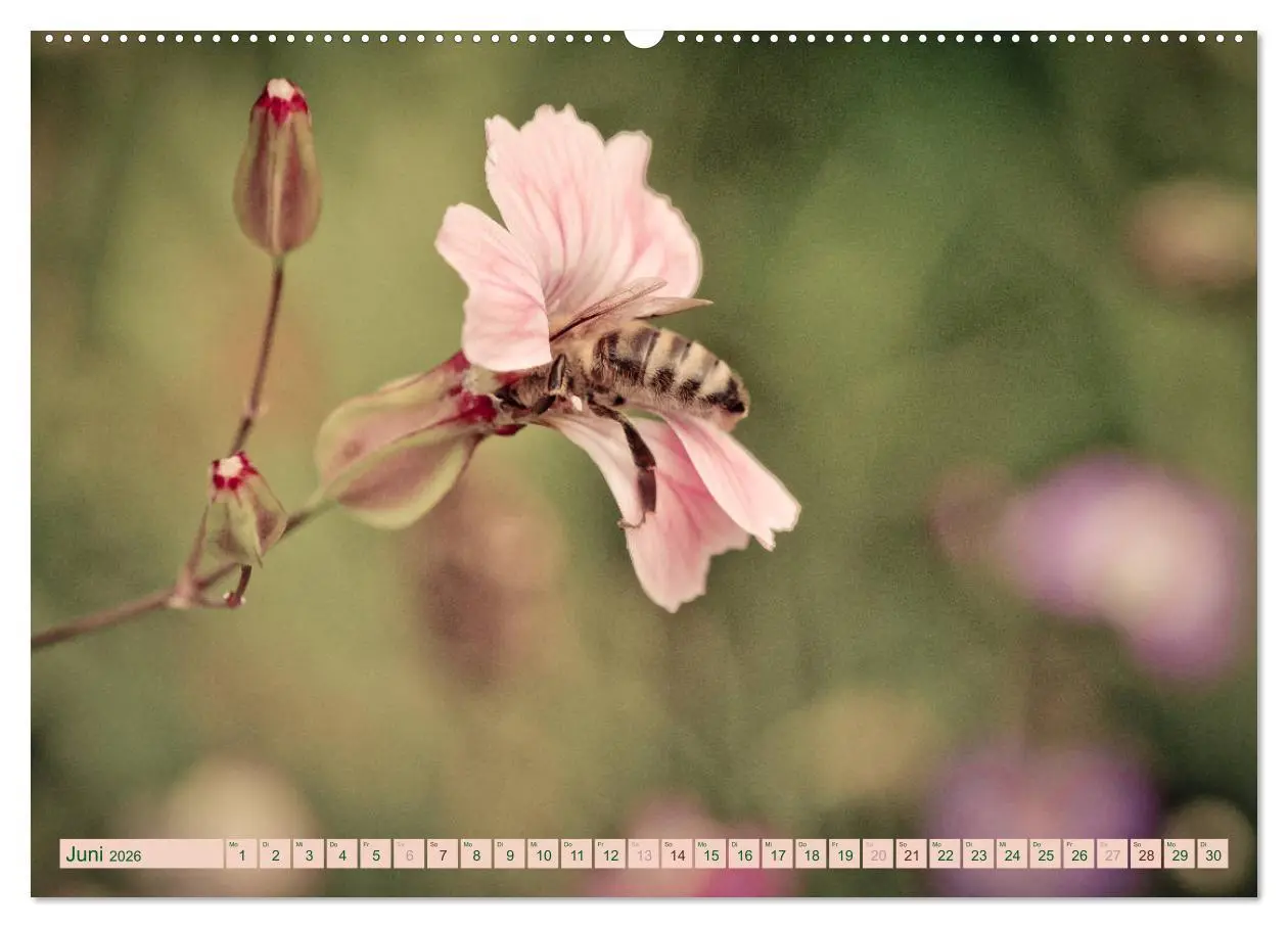 Bild: 9783457769072 | Wildwuchs 2026 (hochwertiger Premium Wandkalender 2026 DIN A2...