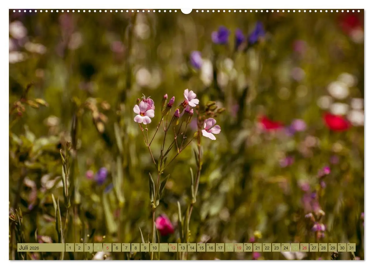 Bild: 9783457769072 | Wildwuchs 2026 (hochwertiger Premium Wandkalender 2026 DIN A2...