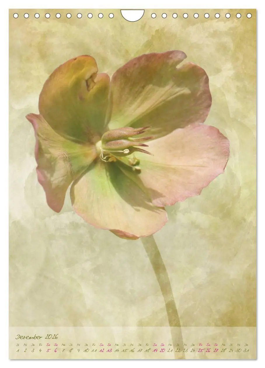 Bild: 9783516479072 | Vintage Flowers (Wandkalender 2026 DIN A4 hoch), CALVENDO...