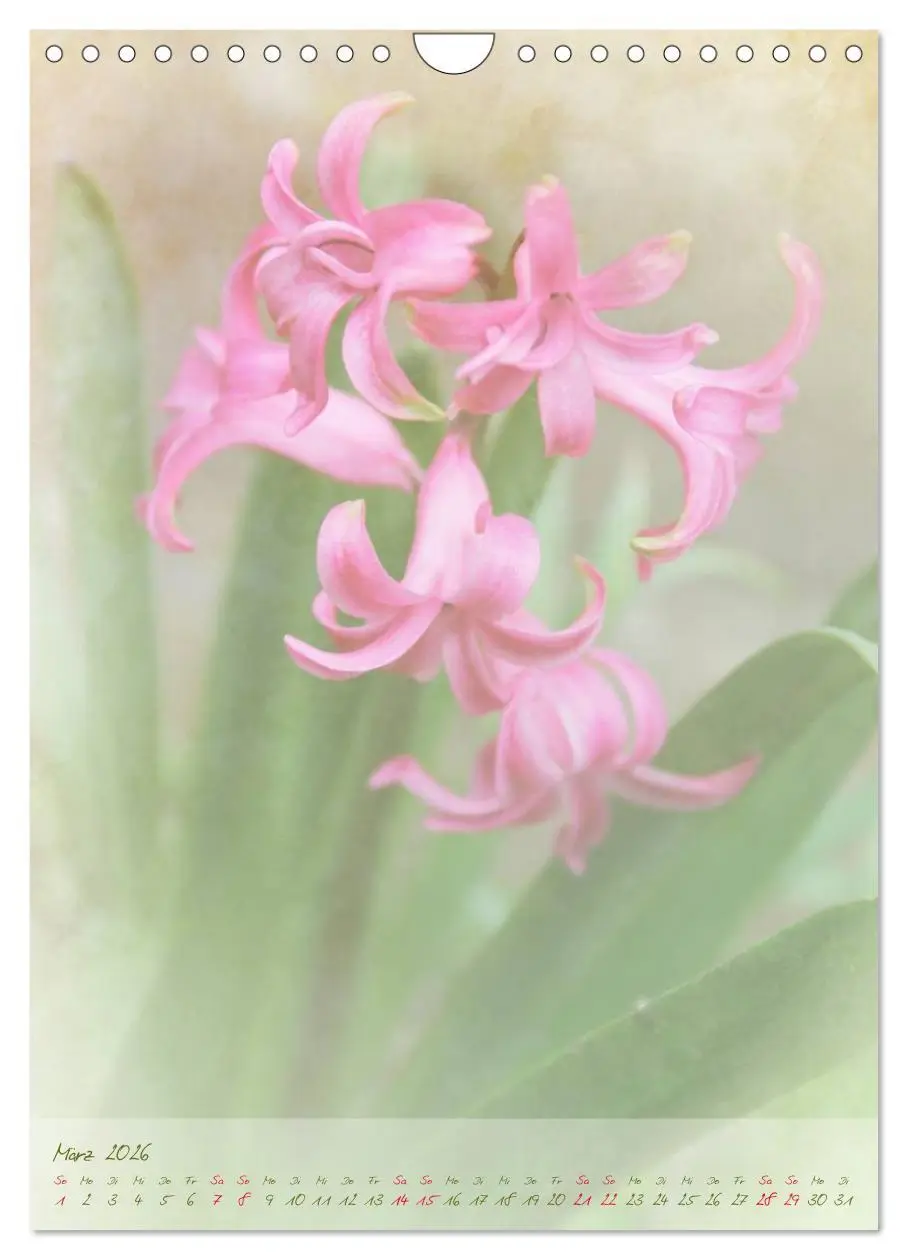 Bild: 9783516479072 | Vintage Flowers (Wandkalender 2026 DIN A4 hoch), CALVENDO...