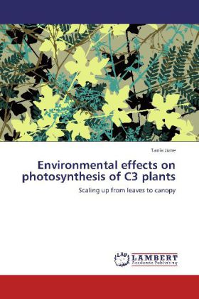 Environmental effects on photosynthesis of C3 plants | Scaling up from leaves to canopy | Tania June | Taschenbuch | Englisch | LAP Lambert Academic Publishing | EAN 9783659109072 - June, Tania